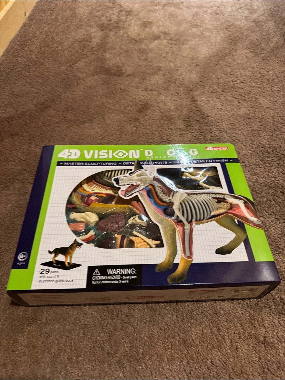 4D Vision Dog Anatomy Model Kit - Green Box